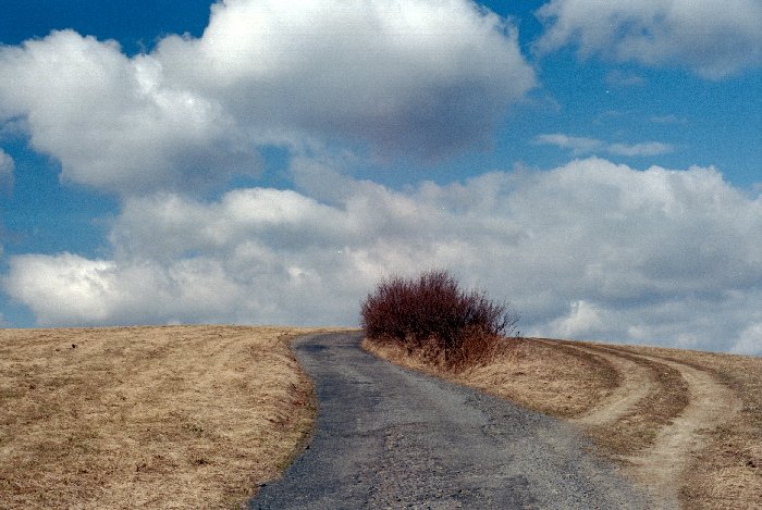 Červené křoví, cesty+mraky